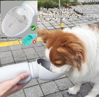 AquaPaw